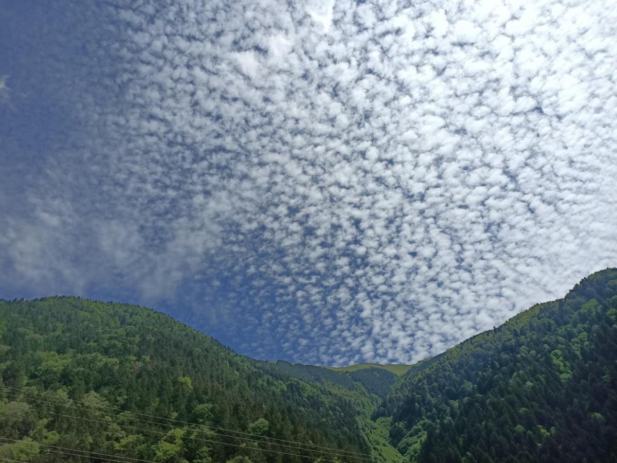 Akpinar Hotel Uzungol Bagian luar foto